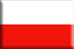 polish